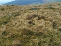 Craig y Llyn Mawr stone circle.