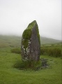 Maen Llia - PID:1636