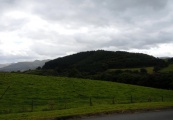 Coed Fenn-Fach - PID:93860