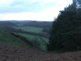 Click for full size image of Llwyn Bryn Dinas (PID:96895) Llwyn Bryn Dinas