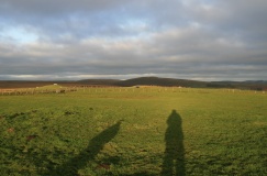 Rhiw Porthnant