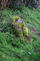 Castle Farm Stone