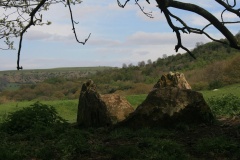 Pen-y-Wyrlod