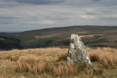Waun Lydan