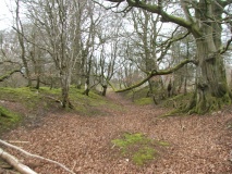 Castle Ring (Powys)