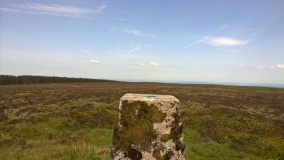 Black Mixen Barrows