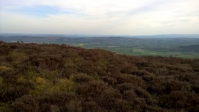 Bach Hill Barrows