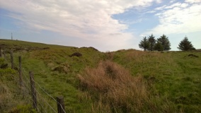 Shepherd's Well Cross Dyke