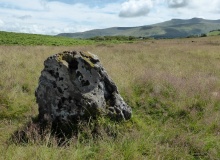 Mynydd Illtud Standing Stone 2