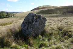 Court Standing Stone