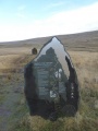 Maen Llia - PID:162130