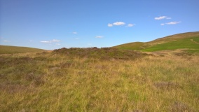 Gilwern Brook Barrows