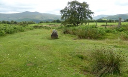 Mynydd Illtud Standing Stone 1