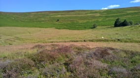 Gilwern Brook Barrows