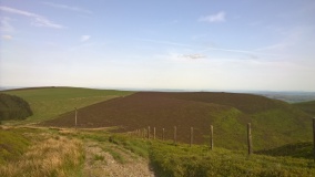 Black Mixen Barrows