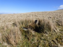 Nant Cnewr-Fawr Stone