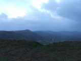 Click for full size image of Llwyn Bryn Dinas (PID:96898) Llwyn Bryn Dinas
