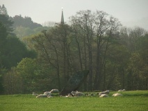 Llangoed Maen Hir