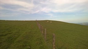 Bach Hill Barrows