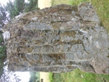 Great Oak Stone - PID:156026
