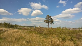 Carreg Wen (Hafren)