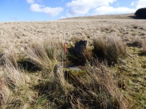Nant Cnewr-Fawr Stone