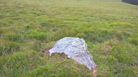 Rhos y Gelynen Stones