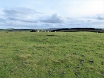 Shenton's Tump Barrow