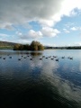 Llangors Crannog submitted by PERKYPUFFIN