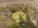 Crugian Bach prehistoric monument complex - PID:126235