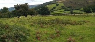 Pen-Y-Wenallt