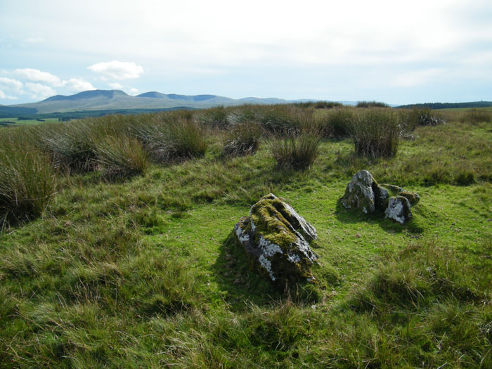 Click for the gallery page to add comments and vote (PID:64473) Trecastle Mountain ENE