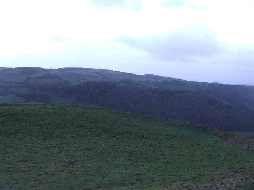 Click for full size image of Llwyn Bryn Dinas (PID:96899) Llwyn Bryn Dinas