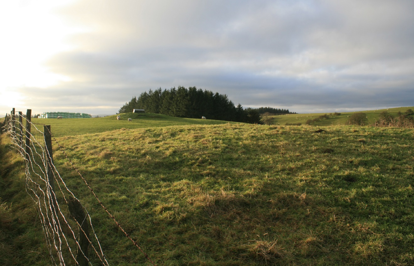 Rhiw Porthnant