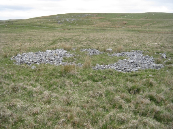 Cwm Cadlan 3
