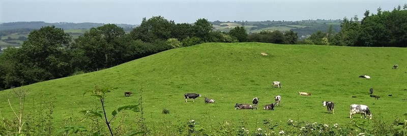 Castell-Y-Dail