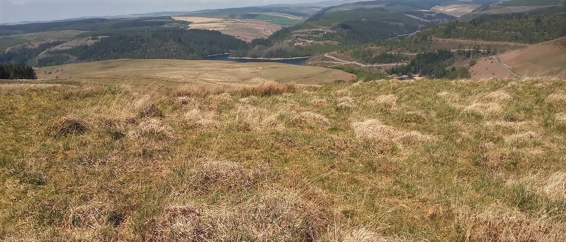 Mynydd Trawsnant Cairn