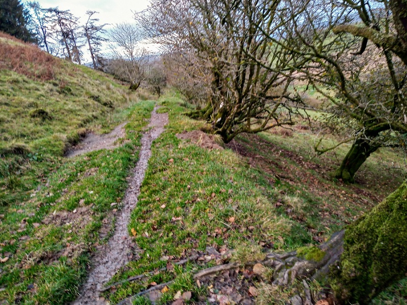 Garth Fach Enclosure