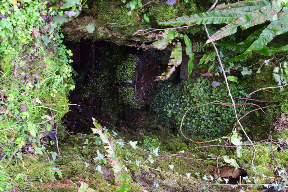 Llan-Wysg Well