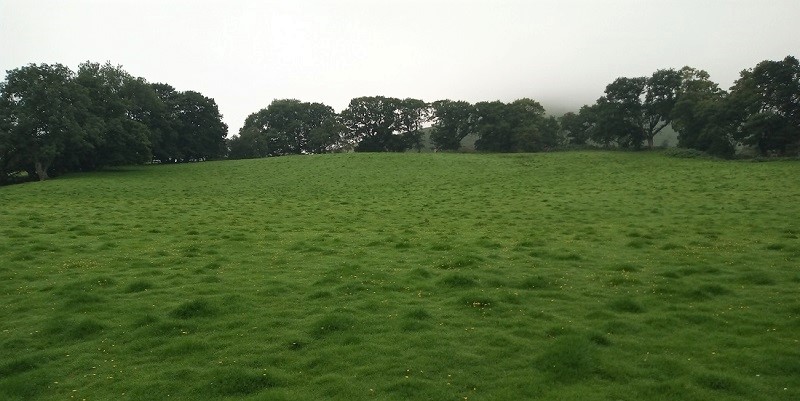 Plas-y-Gaer