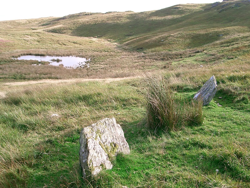 Tre Heslog Stone Row