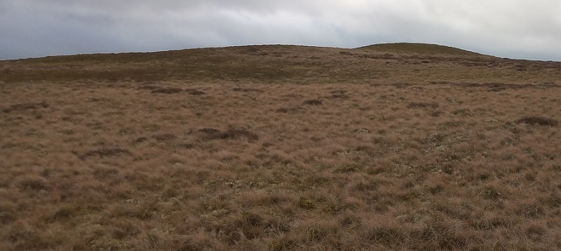 Click for the gallery page to add comments and vote (PID:206562) Aberedw Hill Barrows