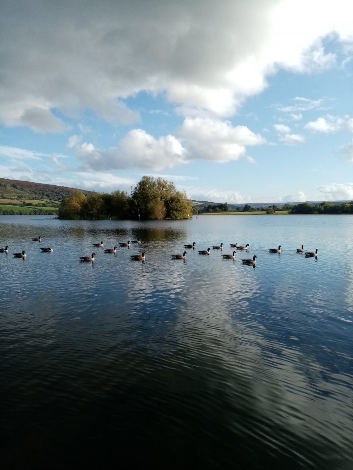 Click for the gallery page to add comments and vote (PID:204217) Llangors Crannog