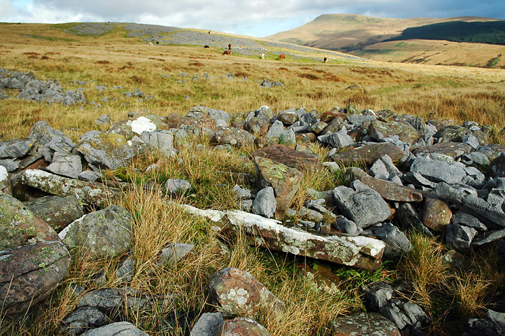 Click for the gallery page to add comments and vote (PID:84356) Twyn Ddu