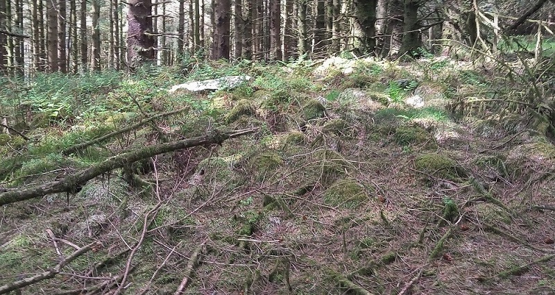 Cynant Fach Cairn