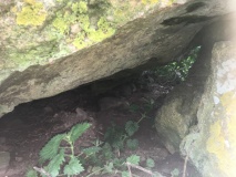 Coed-Y-Cwm