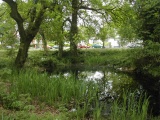 Ffynnon Dennis, Roath - PID:44971