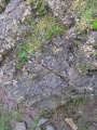 Coed-Y-Cwm - PID:222535
