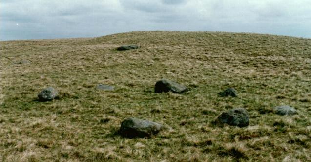 bleaberryhaws5hi.jpg (43705 bytes)