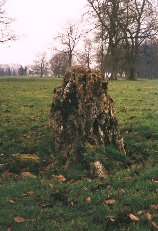 Goose Stones
